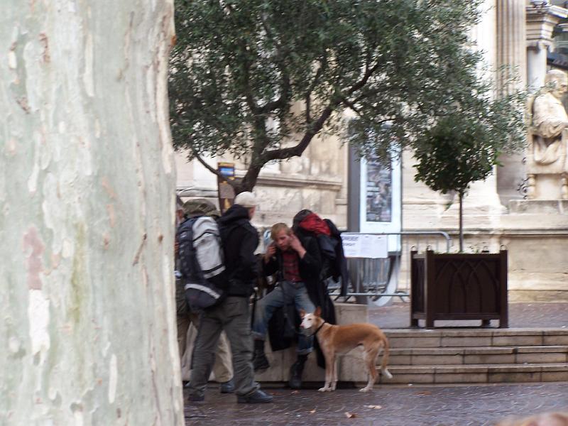 Avignon 027